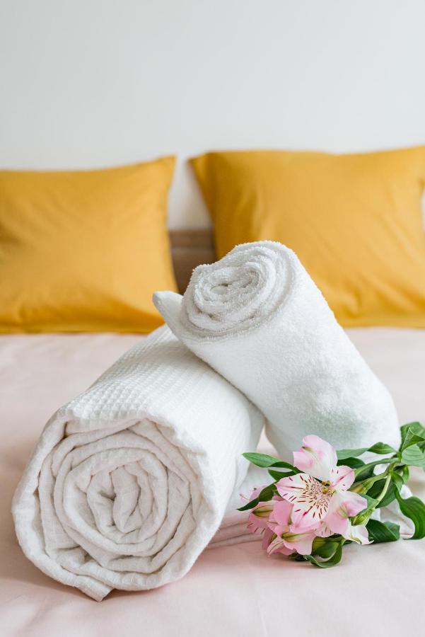 Apartment Cosy - Comme A La Maison - St Etienne